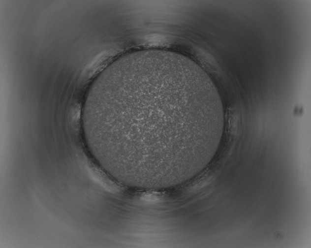 X0000110730550200906261521