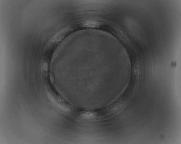 X0000110730551200906261521