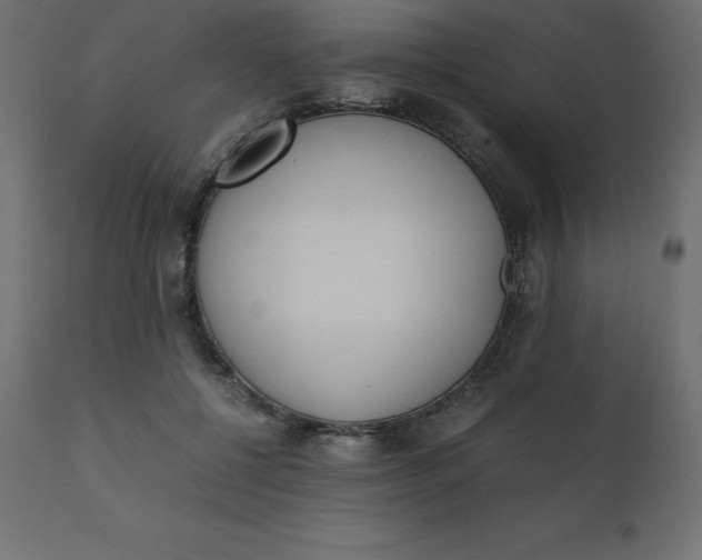 X0000110730552200906261521