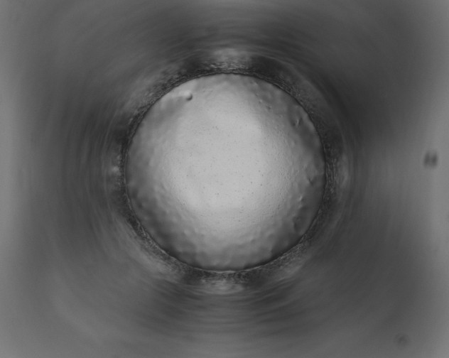 X0000110730553200906261521