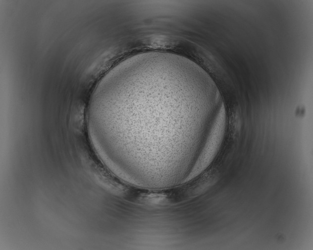 X0000110730554200906261521