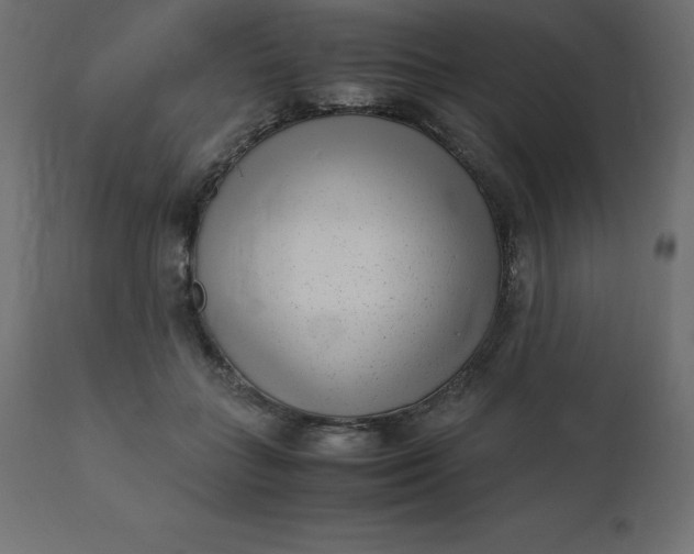 X0000110730555200906261521