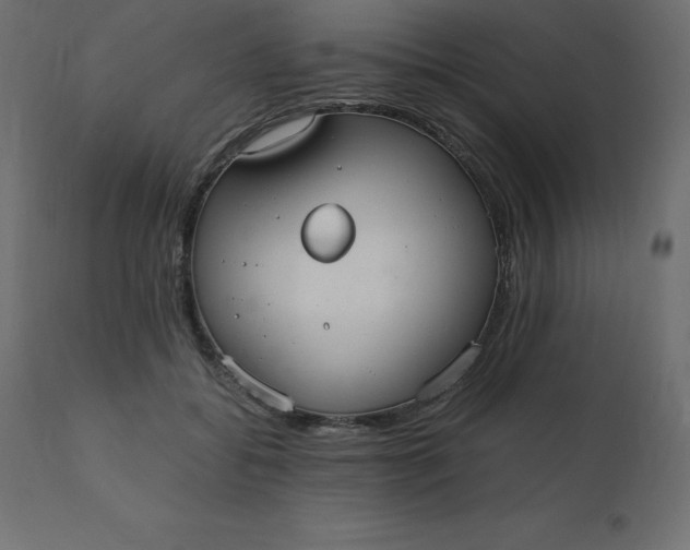 X0000110730556200906261521