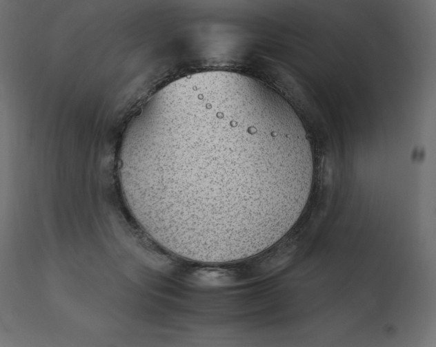 X0000110730557200906261521