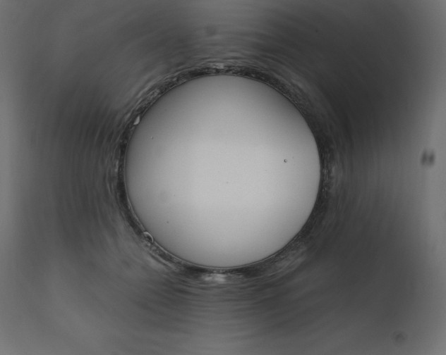 X0000110730558200906261521