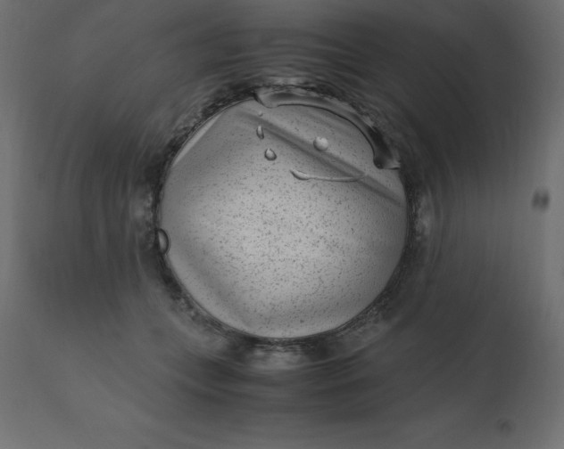 X0000110730559200906261521