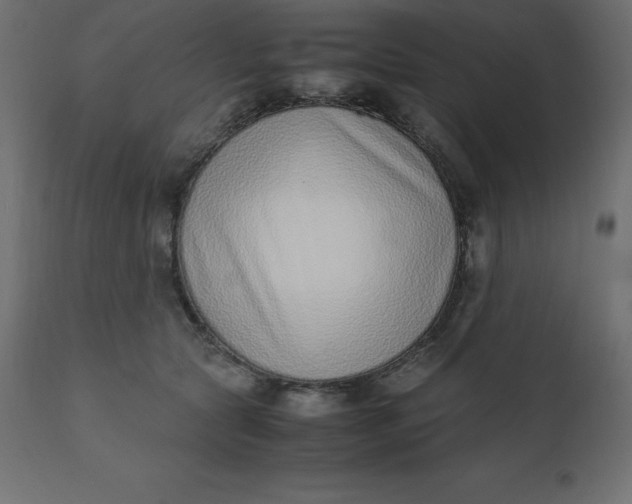 X0000110730561200906261521