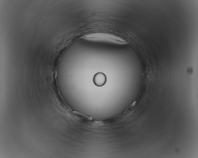 X0000110730562200906261521