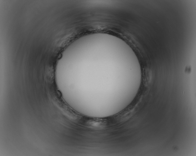 X0000110730563200906261521