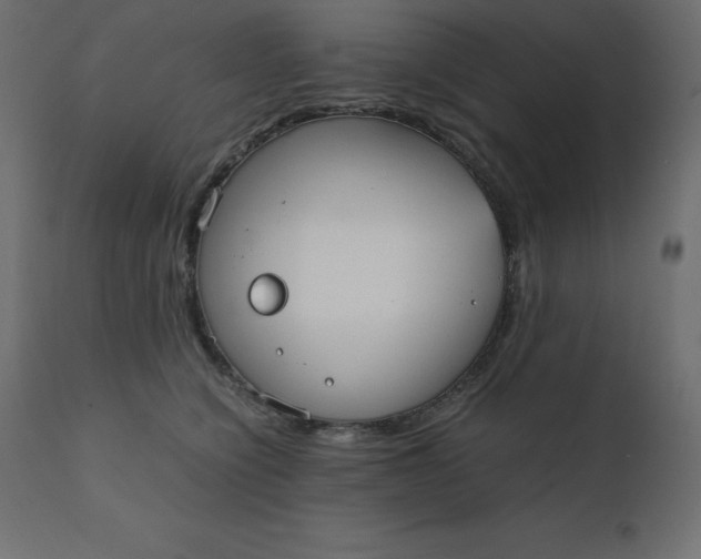 X0000110730564200906261521