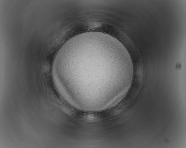 X0000110730565200906261521