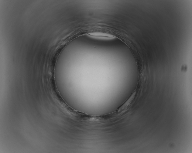 X0000110730566200906261521