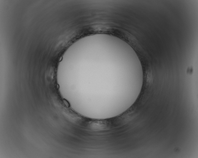 X0000110730567200906261522