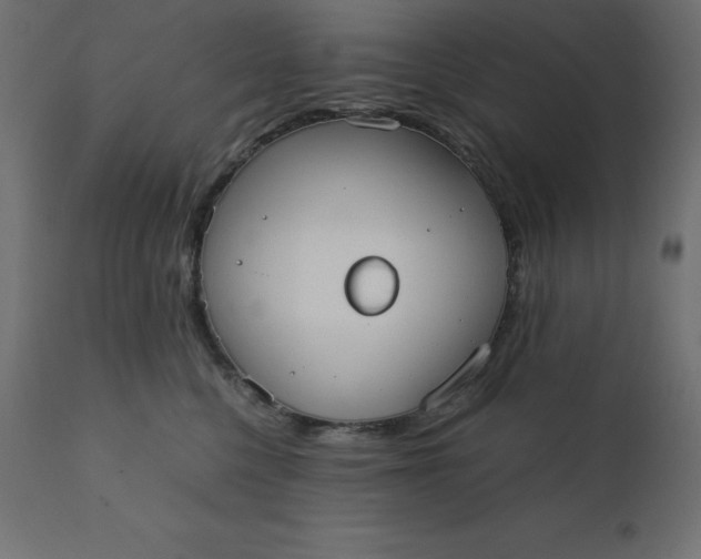 X0000110730568200906261522