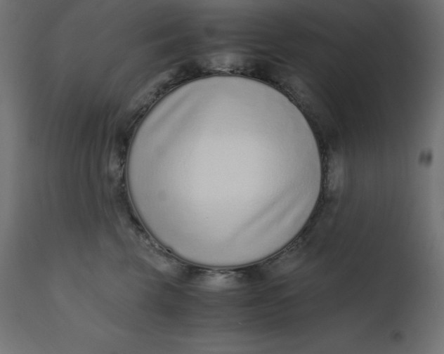 X0000110730569200906261522