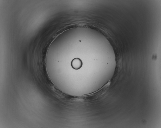 X0000110730572200906261522