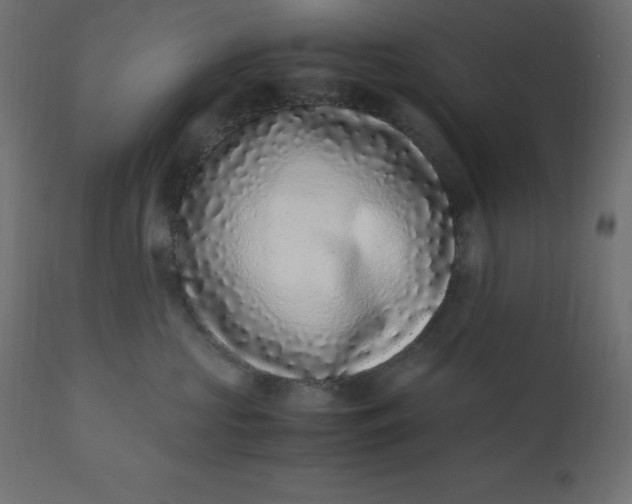 X0000110730573200906261522