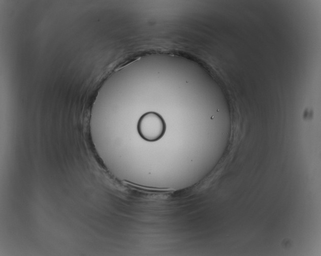 X0000110730576200906261522