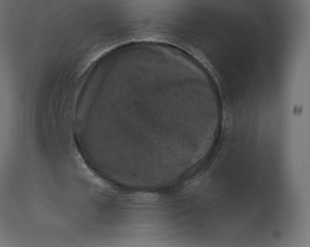 X0000110730577200906261521