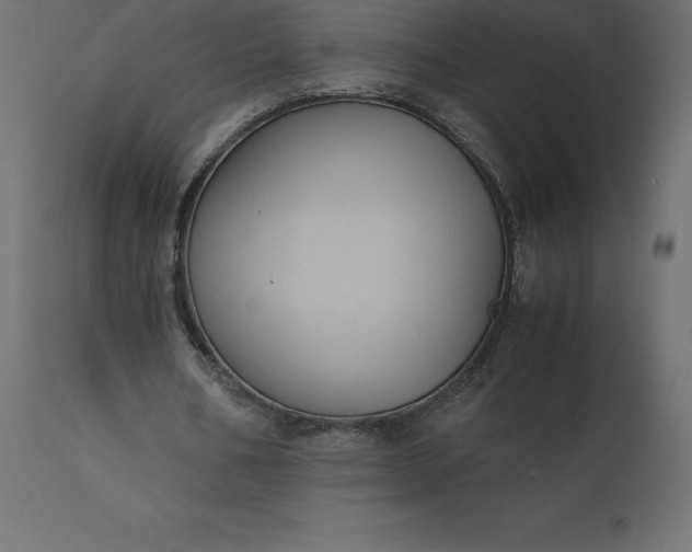 X0000110730578200906261521