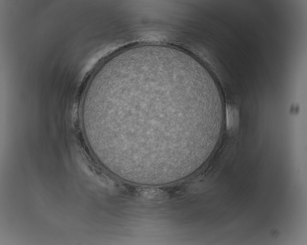 X0000110730579200906261521