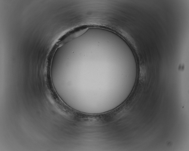 X0000110730580200906261521