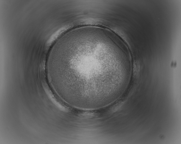 X0000110730581200906261521