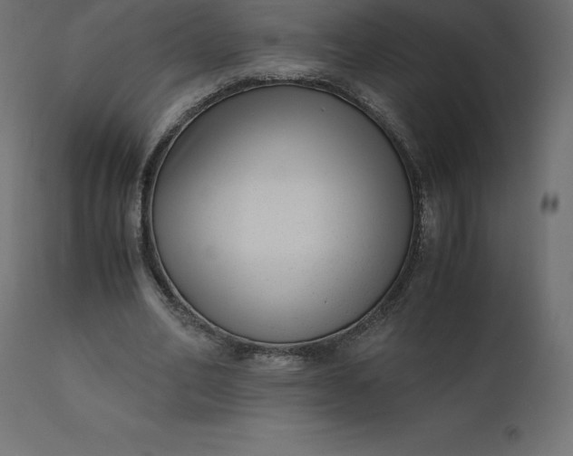 X0000110730582200906261521