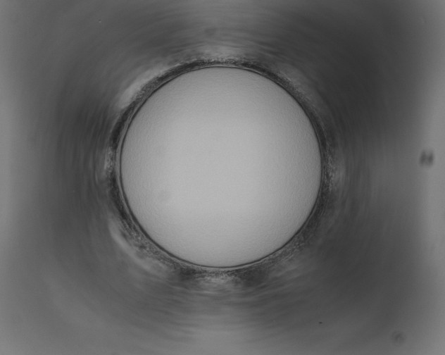 X0000110730583200906261521