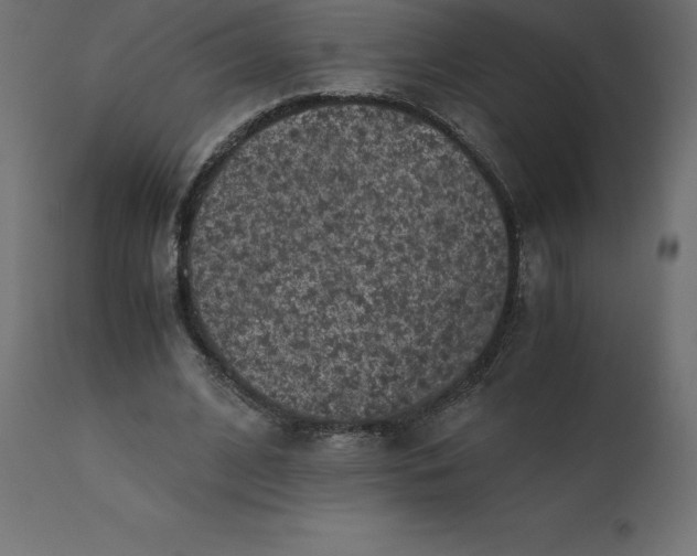 X0000110730584200906261521