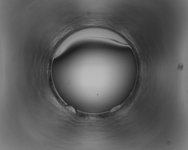 X0000110730585200906261521