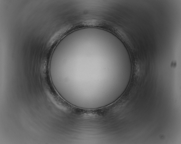 X0000110730586200906261521