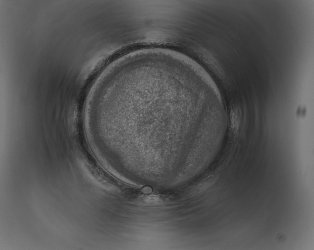 X0000110730588200906261521