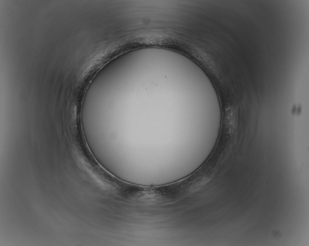 X0000110730589200906261521