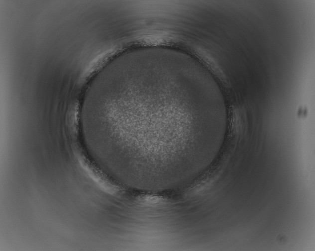 X0000110730590200906261521