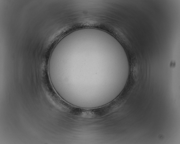 X0000110730591200906261521