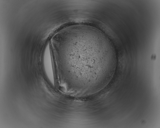 X0000110730592200906261521