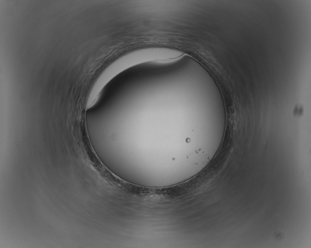 X0000110730593200906261521