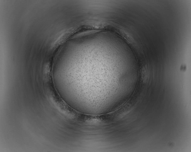 X0000110730594200906261521