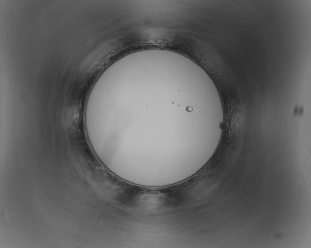 X0000110730595200906261521