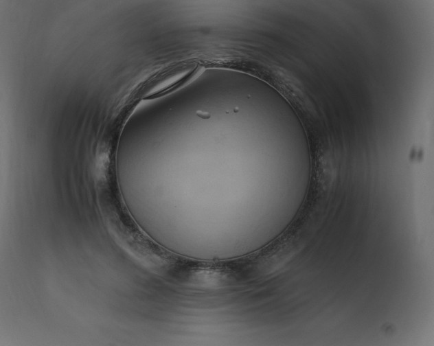 X0000110730596200906261521