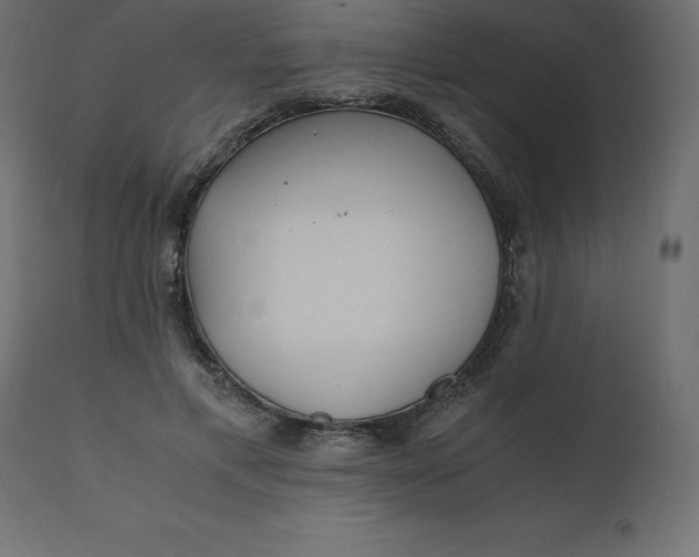 X0000110730597200906261521