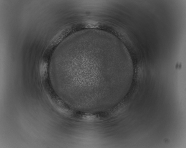 X0000110730598200906261521