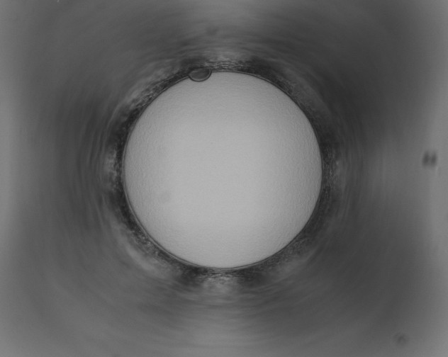 X0000110730599200906261521