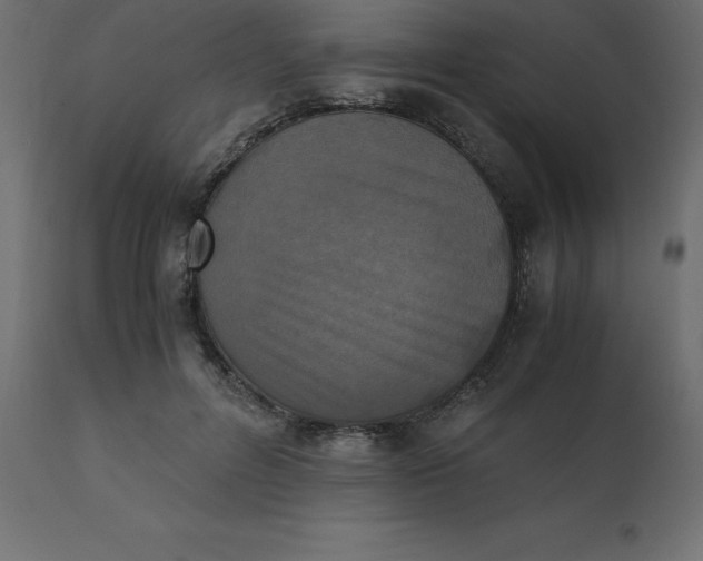 X0000110730600200906261521