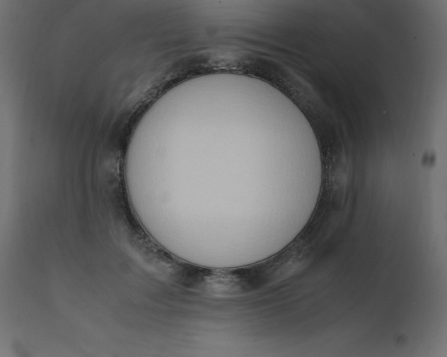 X0000110730603200906261521