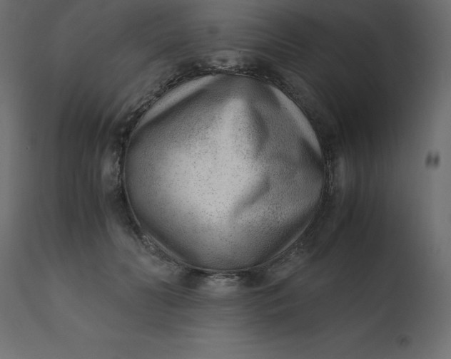 X0000110730606200906261521