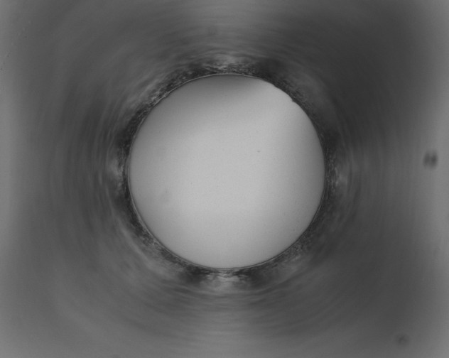 X0000110730607200906261521