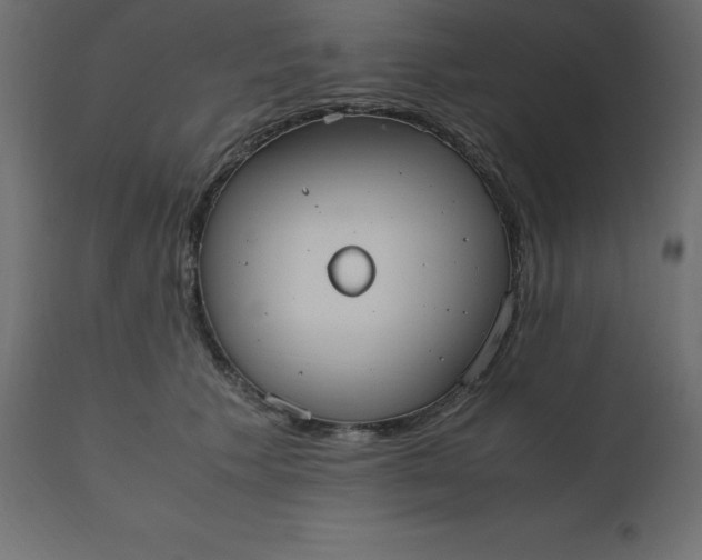 X0000110730609200906261521