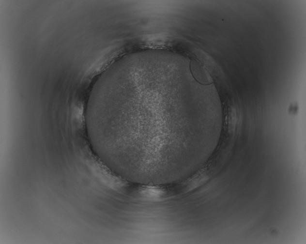 X0000110730610200906261521